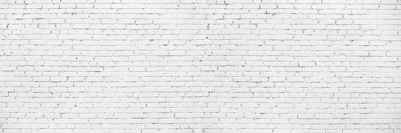White Brick Backdrop-1